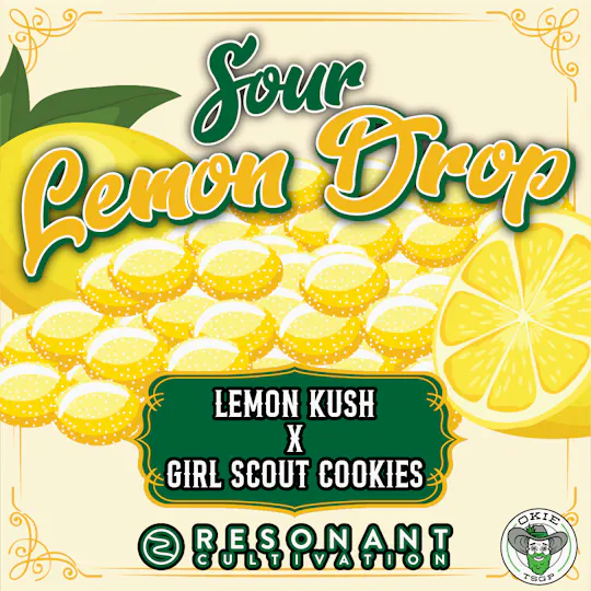 Okie TSGP - Sour Lemon Drop (Resonant) - Live Hash Rosin Batter - 1g - 1
