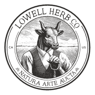 Lowell Herb Co. - Lowell Herb Co | Gravy Train | Joints | 0.6g each | 6pk - 1