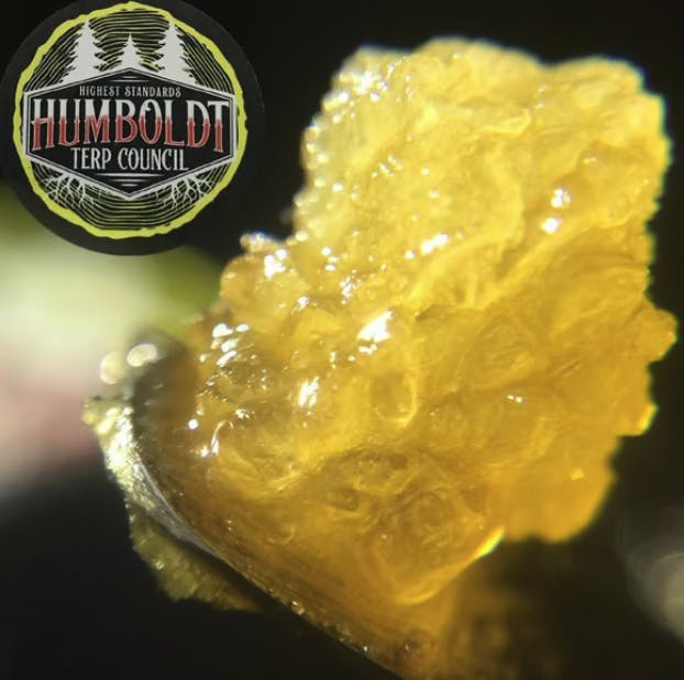 Humboldt Terp Council - Humboldt Terp Council | Lemon OG | Live Resin | 1g - 1