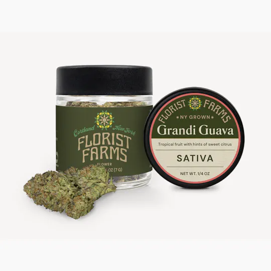 Florist Farms - Florist Farms | Grandi Guava | Big Buds | 7g - 1