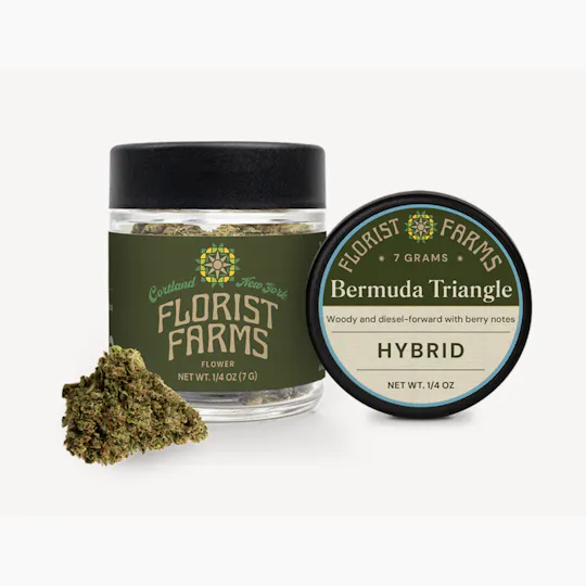 Florist Farms - Florist Farms | Bermuda Triangle | Big Buds | 7g - 1