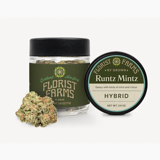 Florist Farms - Florist Farms | Runtz Mintz | Big Buds | 7g - 1