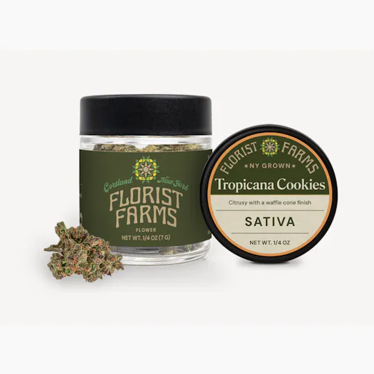 Florist Farms - Florist Farms | Tropicana Cookies | Big Buds | 7g - 1