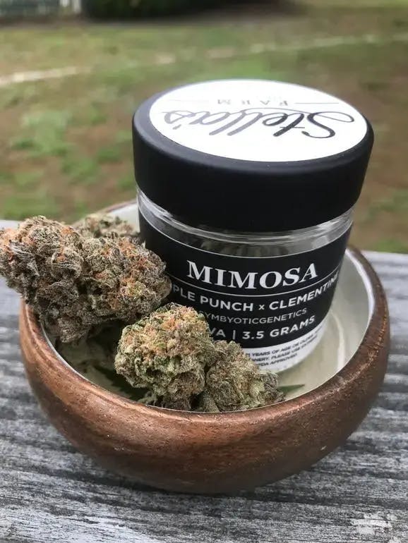 Stella's Farm - Stella’s Farm | Mimosa | Big Buds | 1g - 1