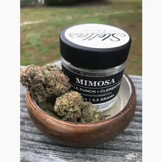 Stella's Farm - Stella’s Farm | Mimosa | Big Buds | 1g - 1