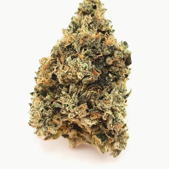 Stella's Farm - Stella’s Farm | Gorilla Dawg | Big Buds | 1g - 1
