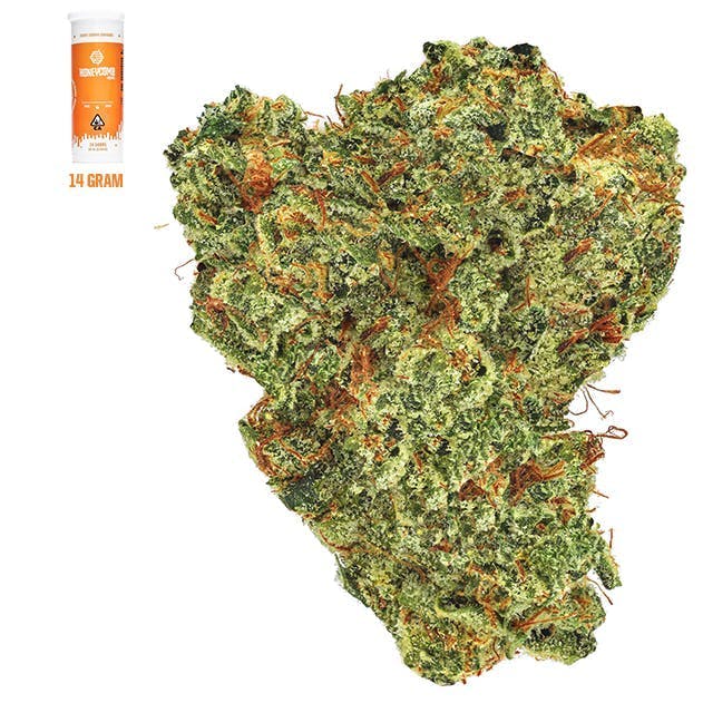Honeycomb Farms - Eden - HONEYCOMB FARMS | OBAMA RUNTZ | BIG BUDS | 14G - 1