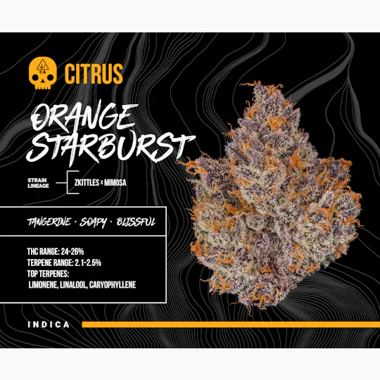 Bosky Genetics - BOSKY | Orange Starburst | Big Buds | 14g - 1