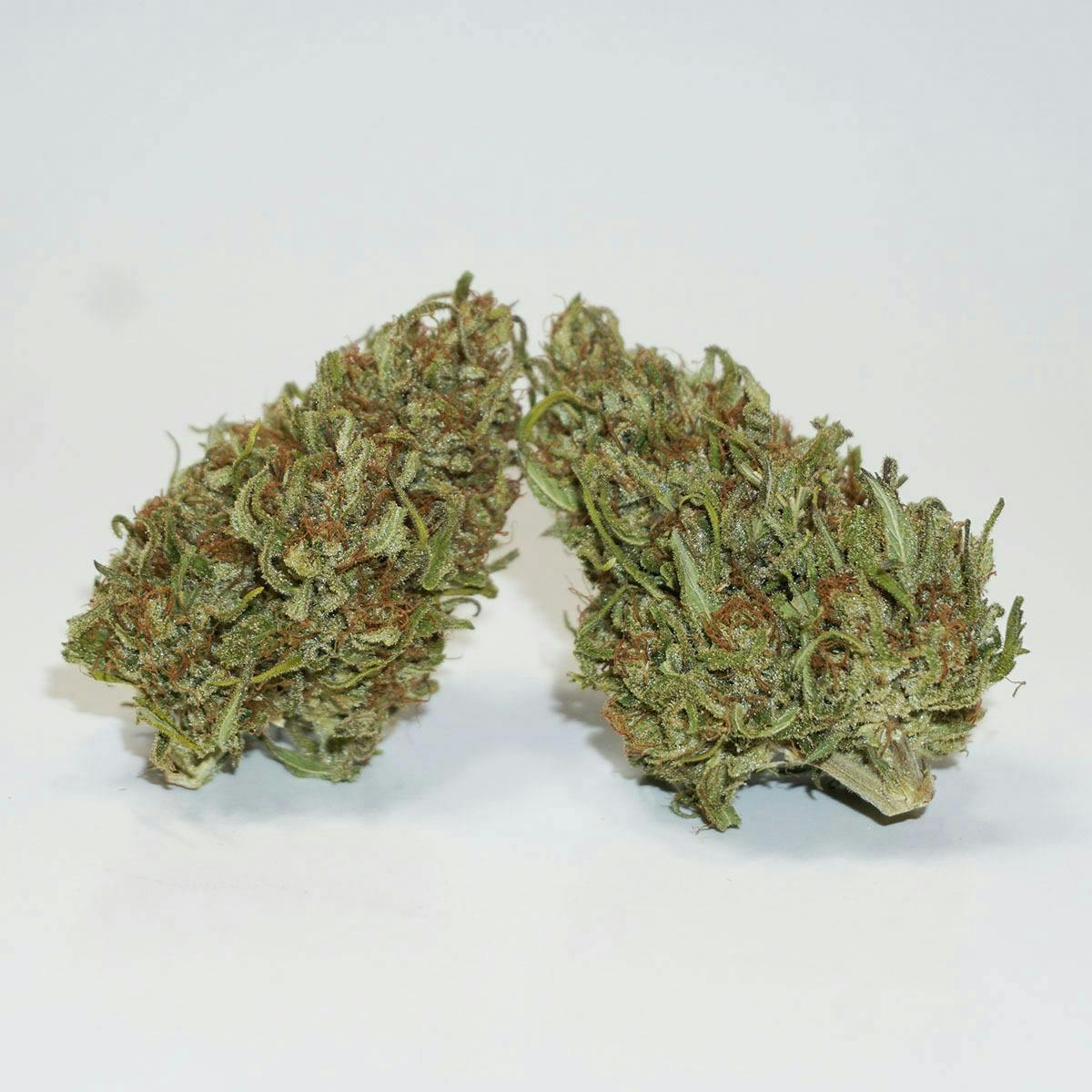 Farm Cut - Farm Cut x Emerald Spirit Botanicals | Equinox | Big Buds | 7.5g - 1