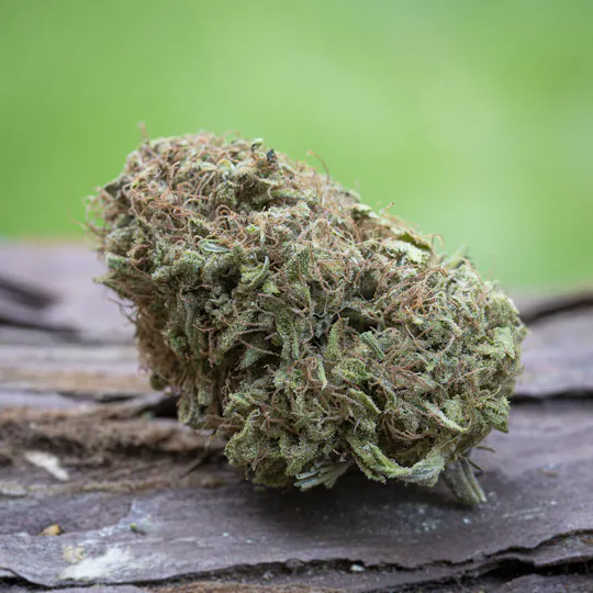 Farm Cut - Farm Cut | Emerald Spirit Botanicals | Blueberry Boost | Flower | 7.5g - 1