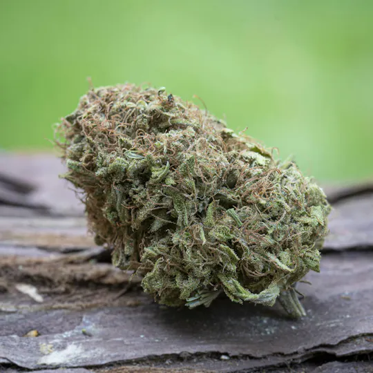 Farm Cut - Farm Cut x Emerald Spirit Botanicals | Blueberry Boost | Big Buds | 7.5g - 1