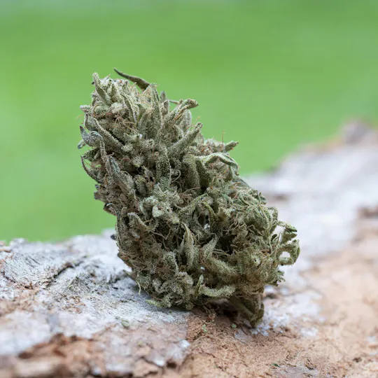 Farm Cut - Farm Cut x Emerald Spirit Botanicals | Four Directions | Big Buds | 7.5g - 1