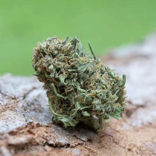 Farm Cut - Farm Cut x Emerald Spirit Botanicals | Trilogy | Big Buds | 7.5g - 1
