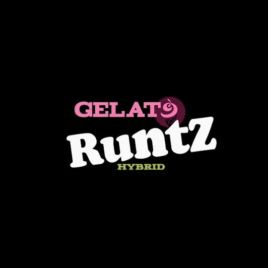 Green Dynasty - Green Dynasty | Gelato Runtz | Ground | 28g - 1