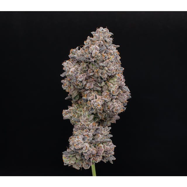 Green Dynasty - Green Dynasty | LA Pop Rockz | Big Buds | 3.5g - 1