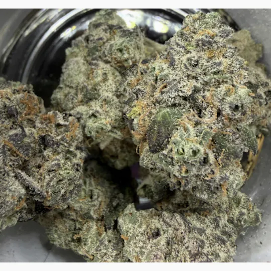 Green Dynasty - Green Dynasty | White Dream | Big Buds | 14g - 1