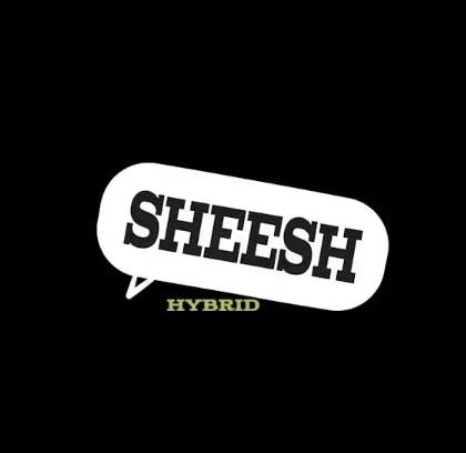 Green Dynasty - Green Dynasty | Sheesh | Big Buds | 14g - 1