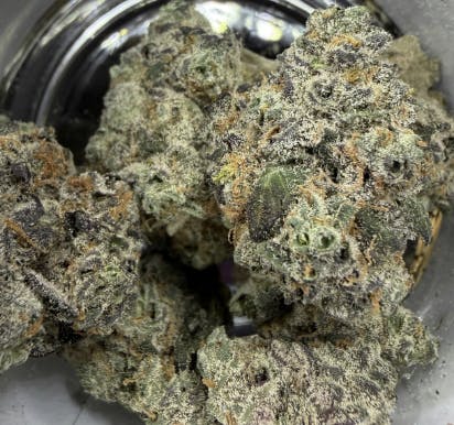 Green Dynasty - Green Dynasty | White Dream | Big Buds | 3.5g - 1