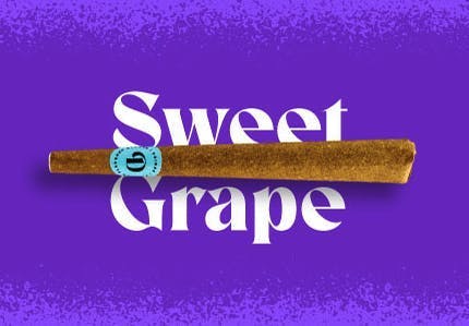 Doinks - Sweet Grape | Infused Blunt | 1g - 1