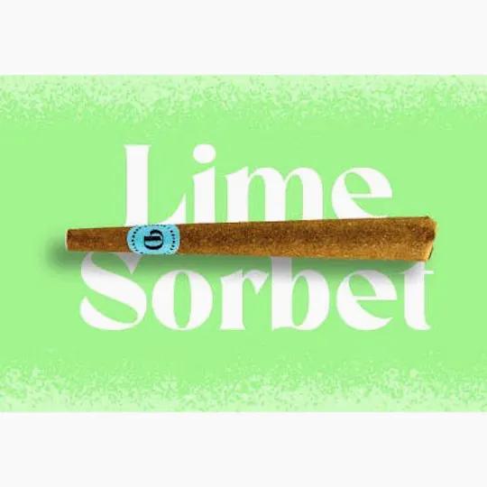 Doinks - Lime Sorbet | Infused Blunt | 1g - 1