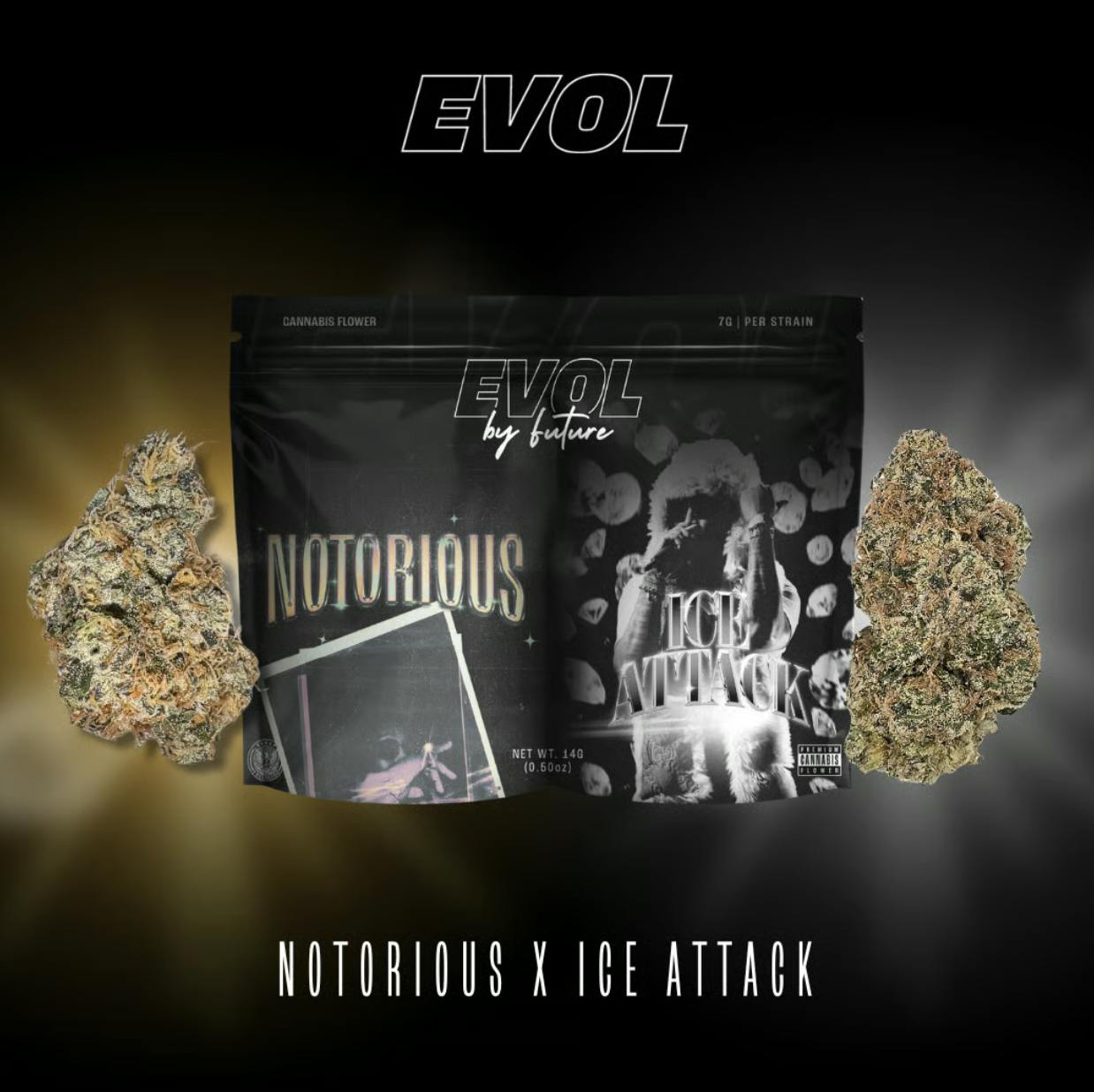 EVOL by Future - EVOL by Future | Notorious #1 x Ice Attack | Trap Pack | Smalls | 14g - 1