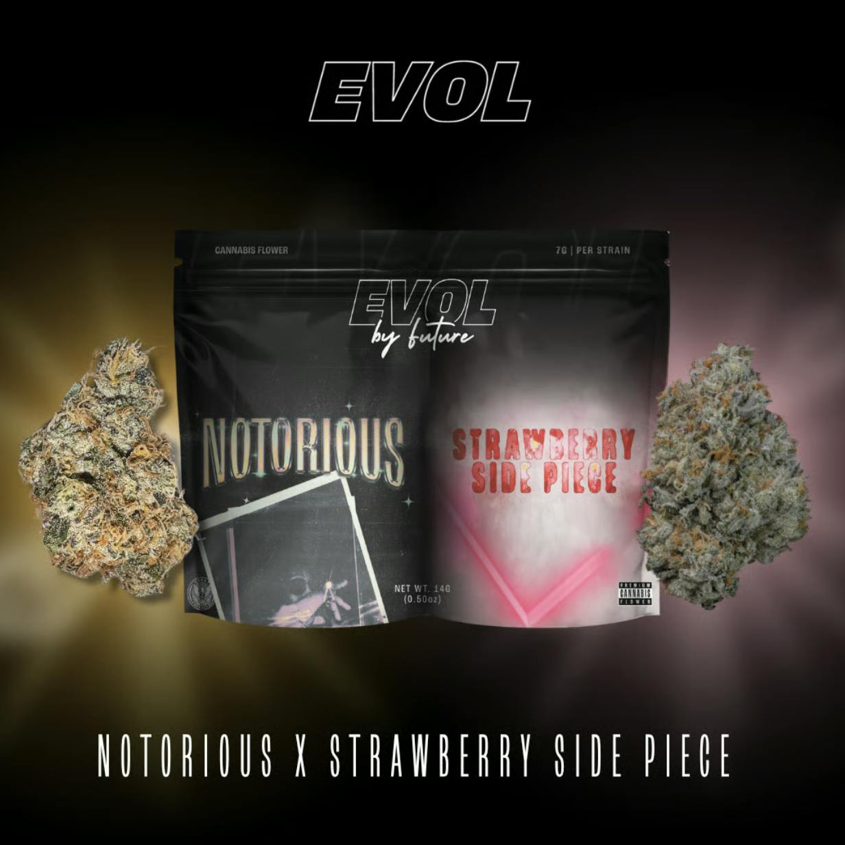 EVOL by Future - EVOL by Future | Notorious #1 x Strawberry Side Piece | Smalls | 14g - 1