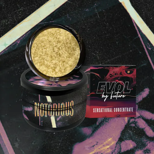 EVOL by Future - EVOL by Future | Notorious #1 | Bubble Hash | 1g - 1