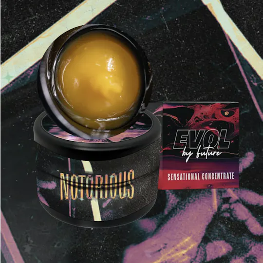 EVOL by Future - EVOL by Future | Notorious #1 | Live Badder | 1g - 1