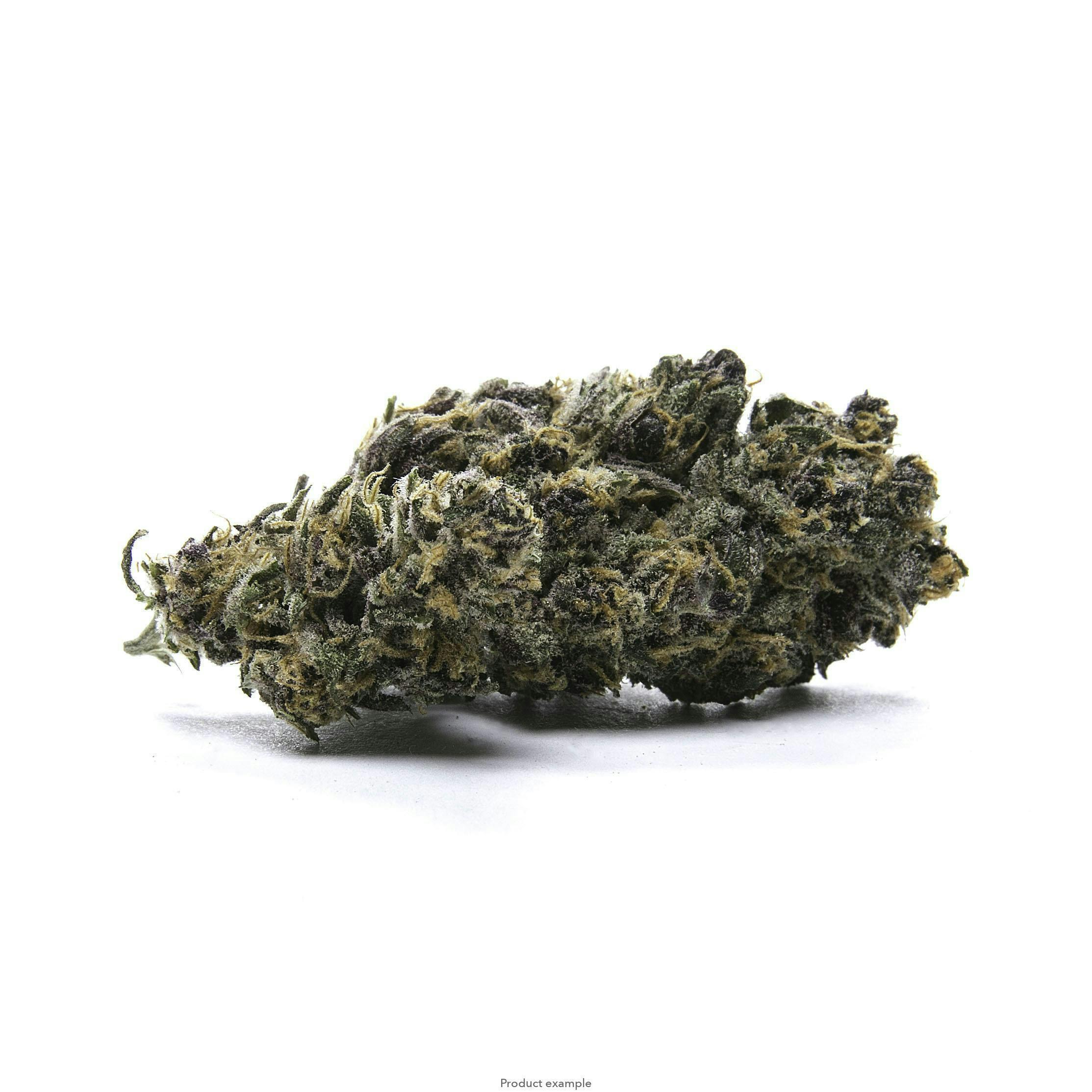 Fly - Fly | Sherbacio | Big Buds | 3.5g - 1
