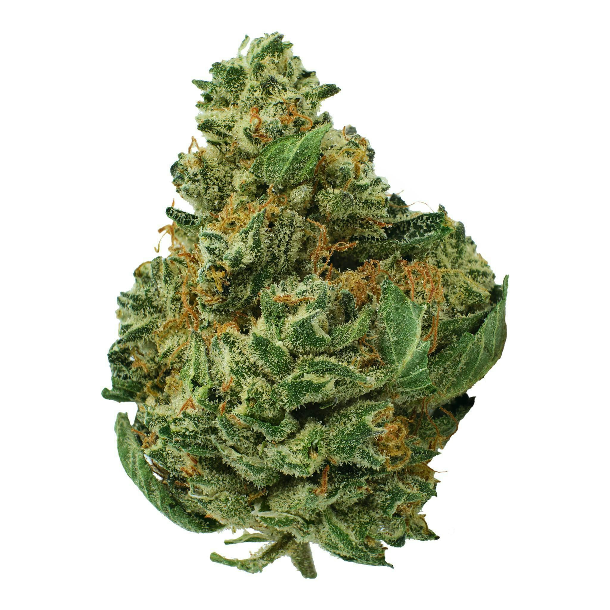 Fly - Fly | Grape Popsicle | Flower - 1