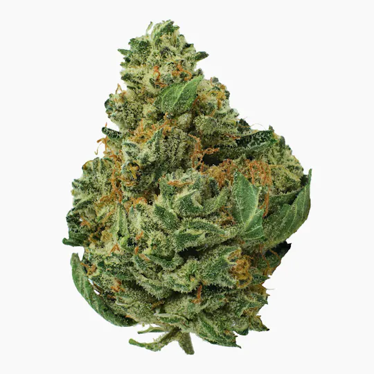 Fly - Fly | Grape Popsicle | Flower - 1