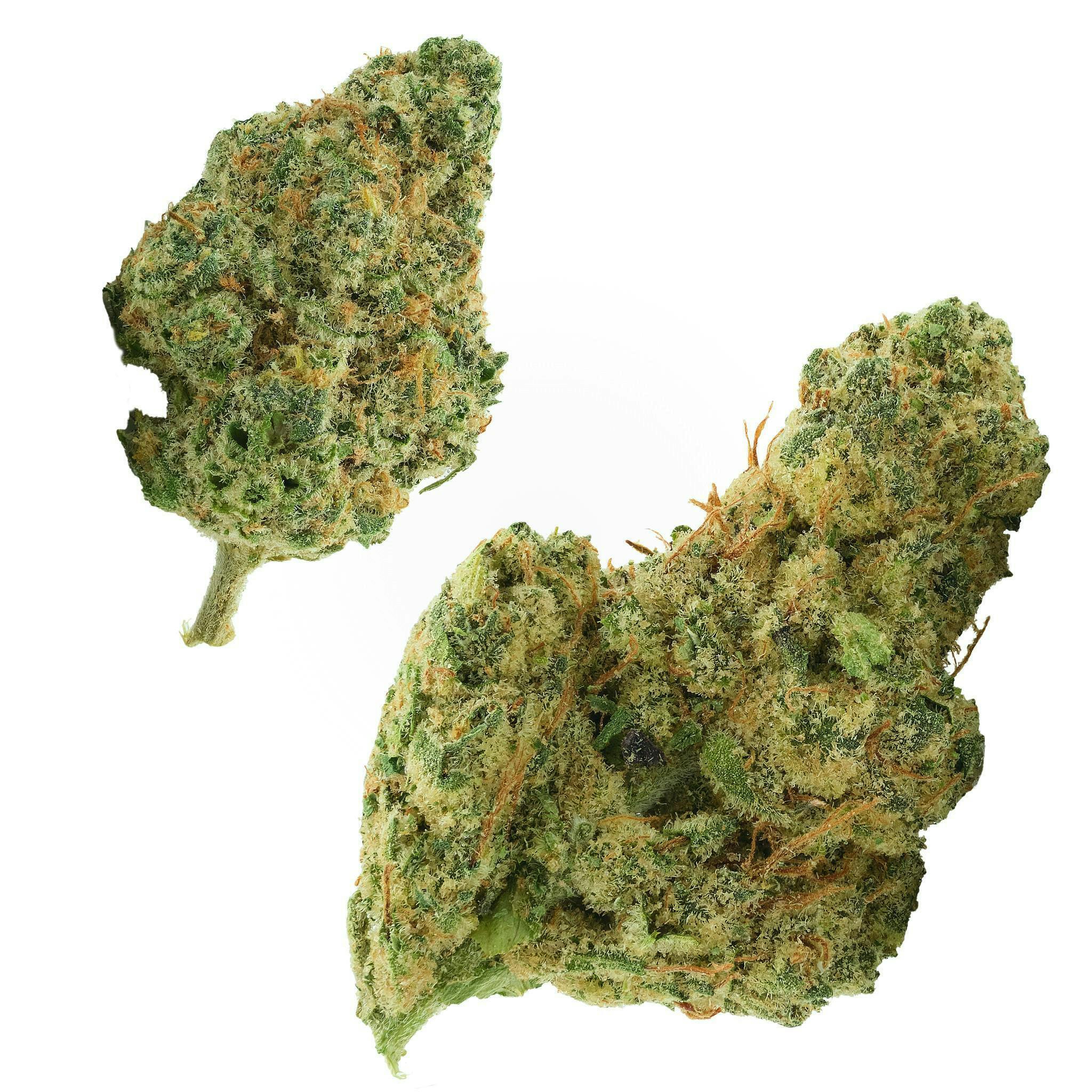 Fly - Fly | Smackerz | Flower - 1