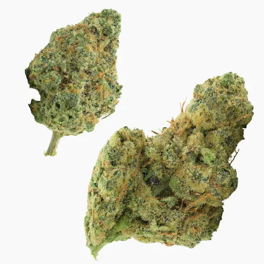Fly - Fly | Smackerz | Flower - 1