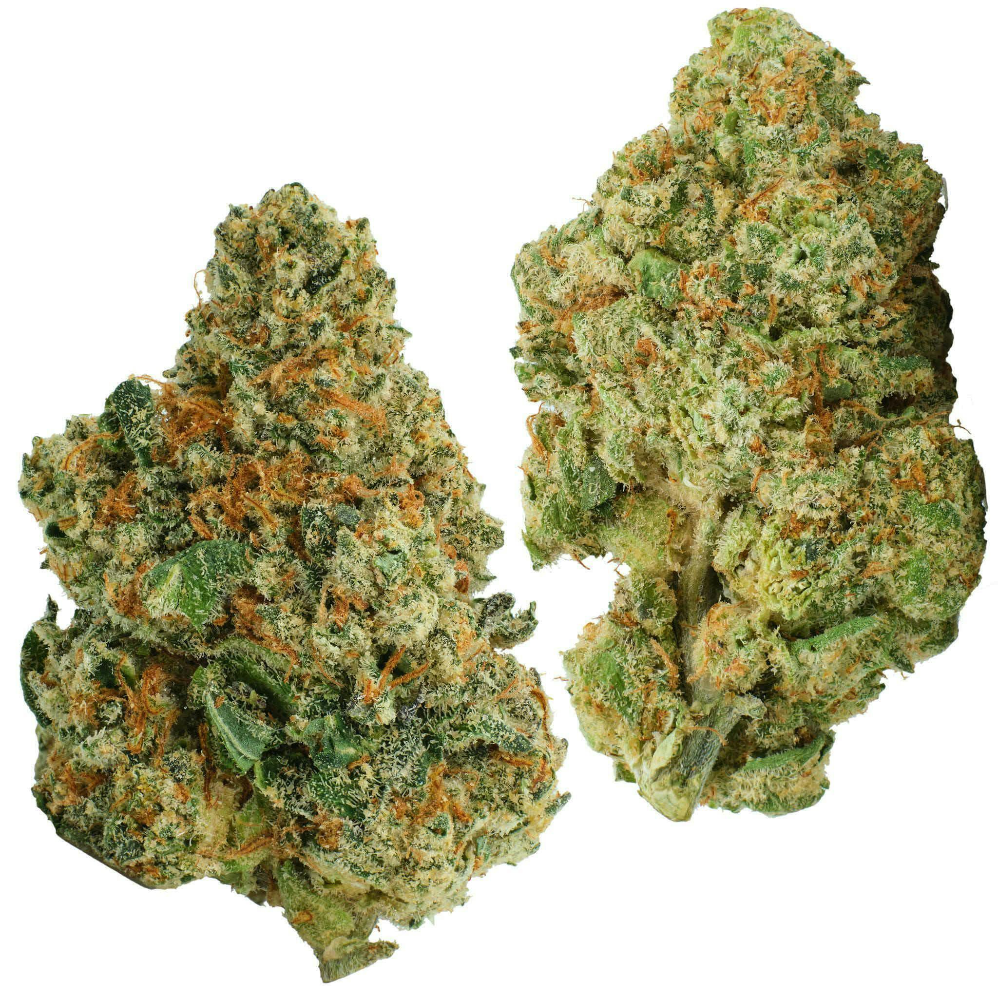 Fly - Fly | Windmill Cookies #3 | Flower - 1