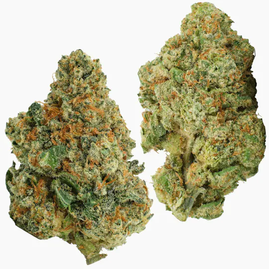 Fly - Fly | Windmill Cookies #3 | Flower - 1