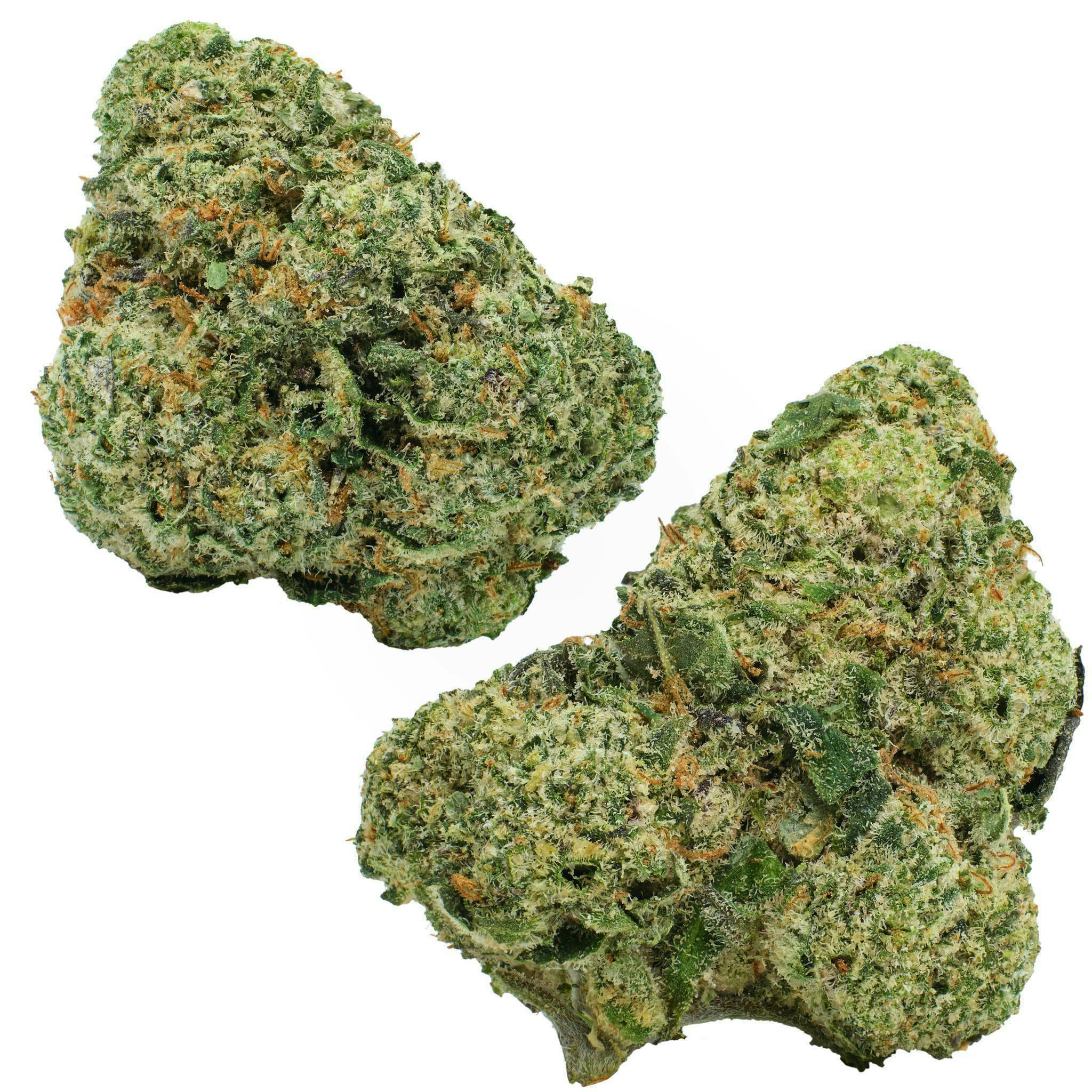 Fly - Fly | Sub Zero | Flower - 1