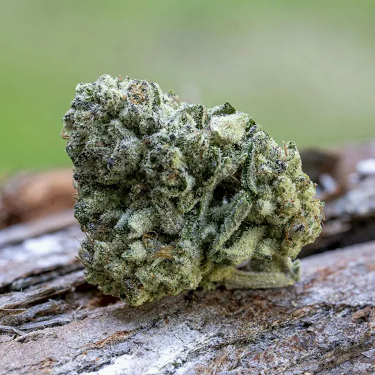 Farm Cut - Farm Cut x Happy Day Farms | Purple Cream | Big Buds | 7.5g - 1
