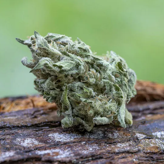 Farm Cut - Farm Cut x Happy Day Farms | Whipped Strawberries | Big Buds | 7.5g - 1