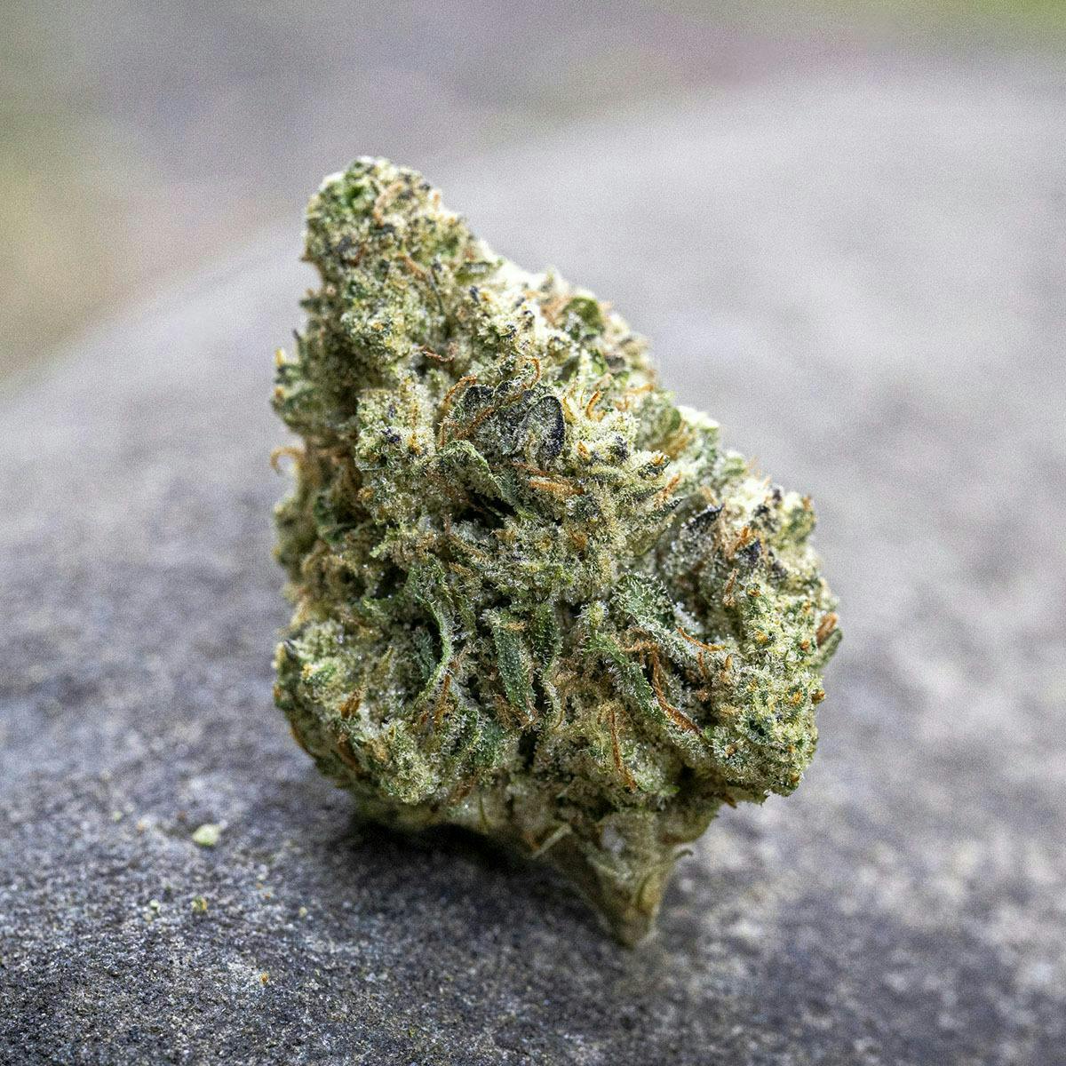 Farm Cut - Farm Cut x Happy Day Farms | Government Oasis | Big Buds | 7.5g - 1
