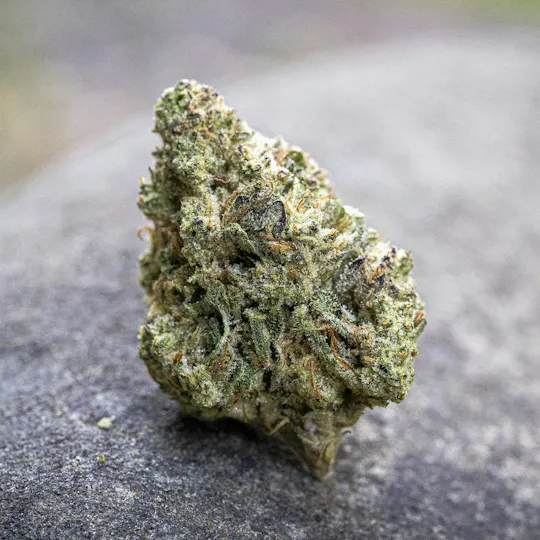 Farm Cut - Farm Cut x Happy Day Farms | Government Oasis | Big Buds | 7.5g - 1