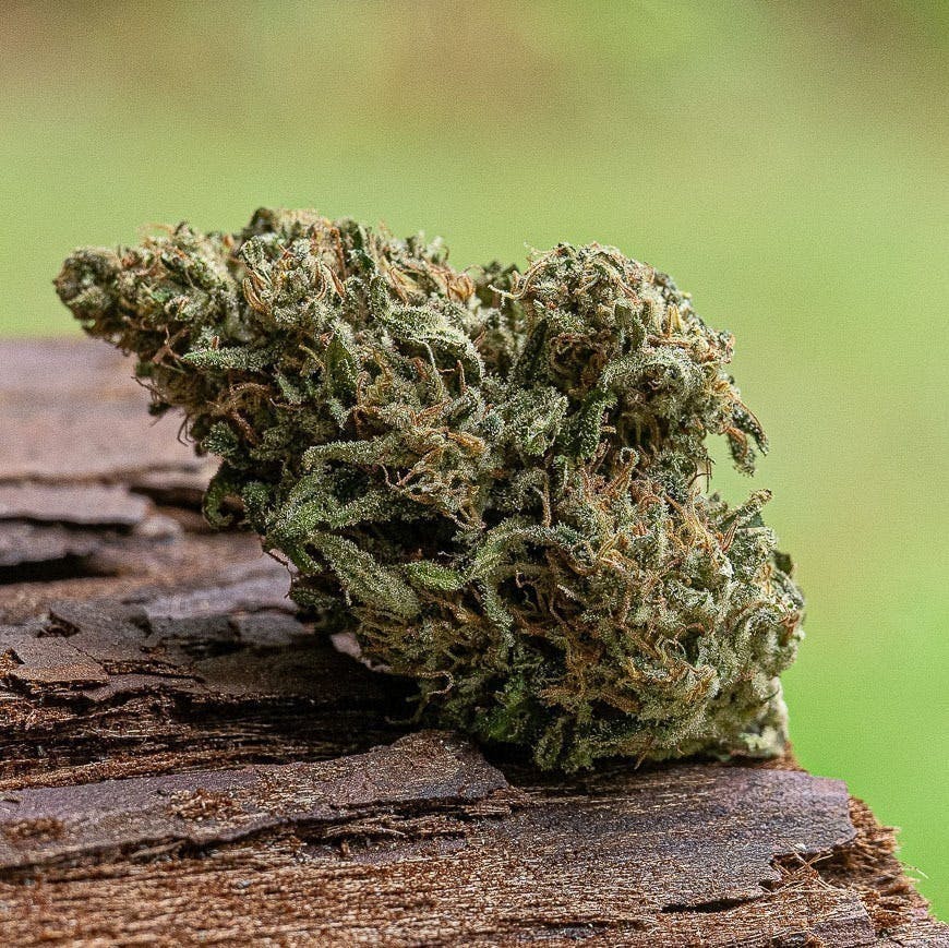 Farm Cut - Farm Cut x Whitethorn Valley Farm | Sand Castles | Big Buds | 7.5g - 1
