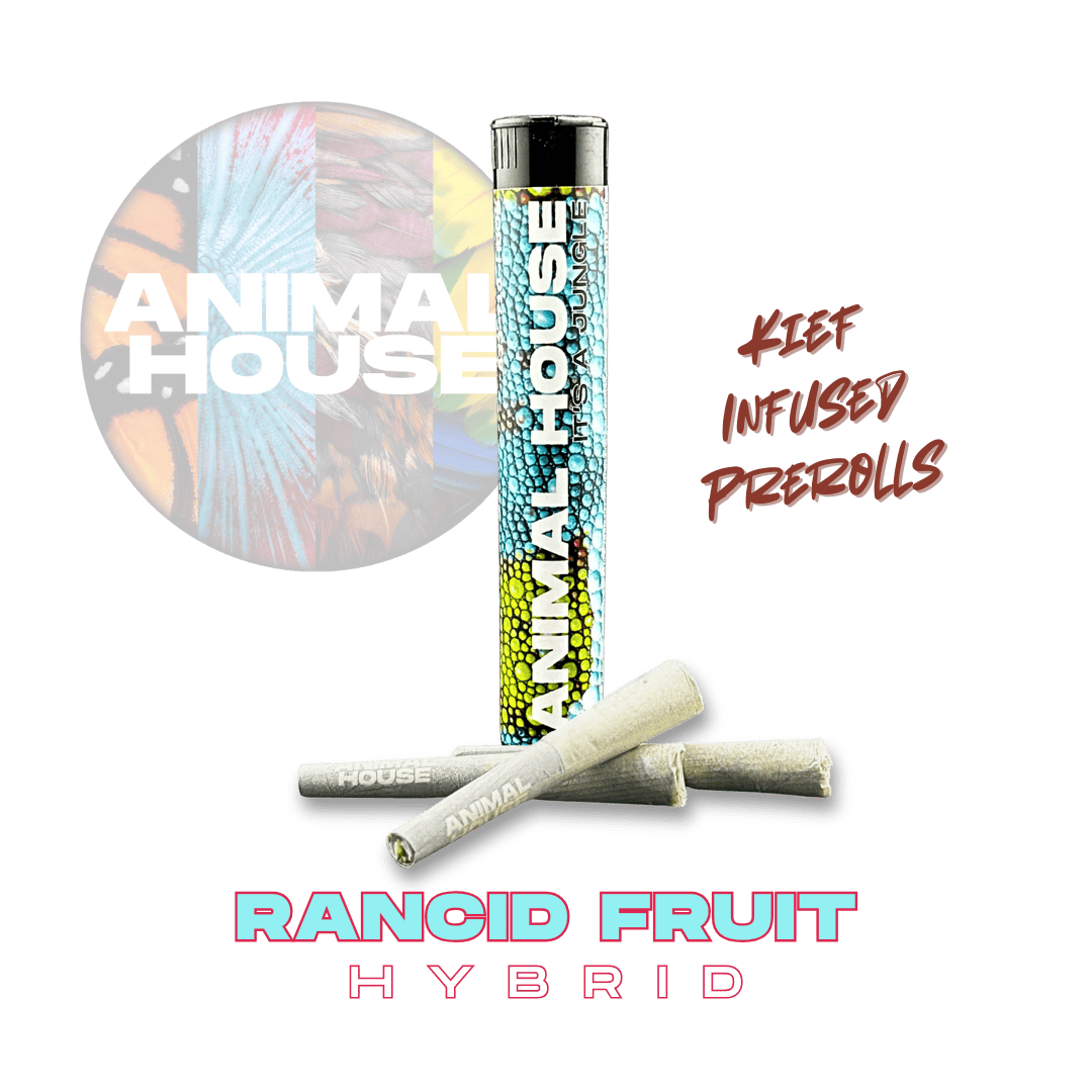 Animal House - Animal House | Rancid Fruit | Infused Minis | 0.5g each | 3pk - 1