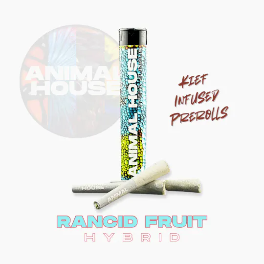 Animal House - Animal House | Rancid Fruit | Infused Minis | 0.5g each | 3pk - 1