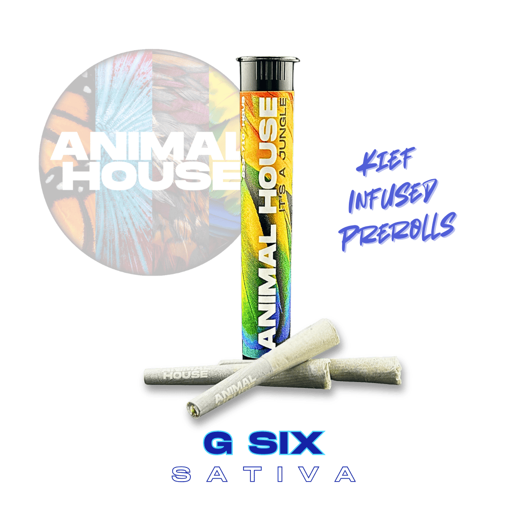 Animal House - Animal House | Jet Fuel G6 | Infused Minis | 0.5g each | 3pk - 1