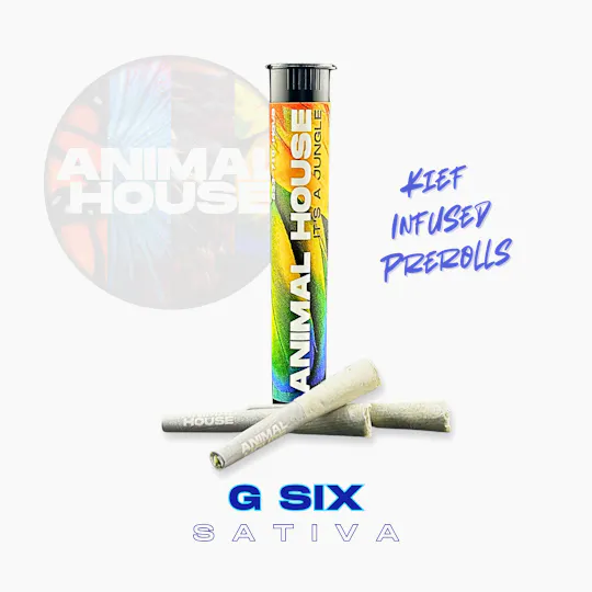 Animal House - Animal House | Jet Fuel G6 | Infused Minis | 0.5g each | 3pk - 1