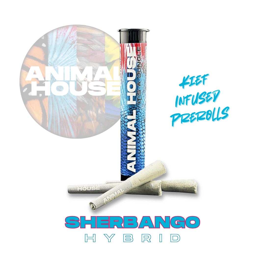 Animal House - Animal House | Sherbango | Infused Minis | 0.5g each | 3pk - 1