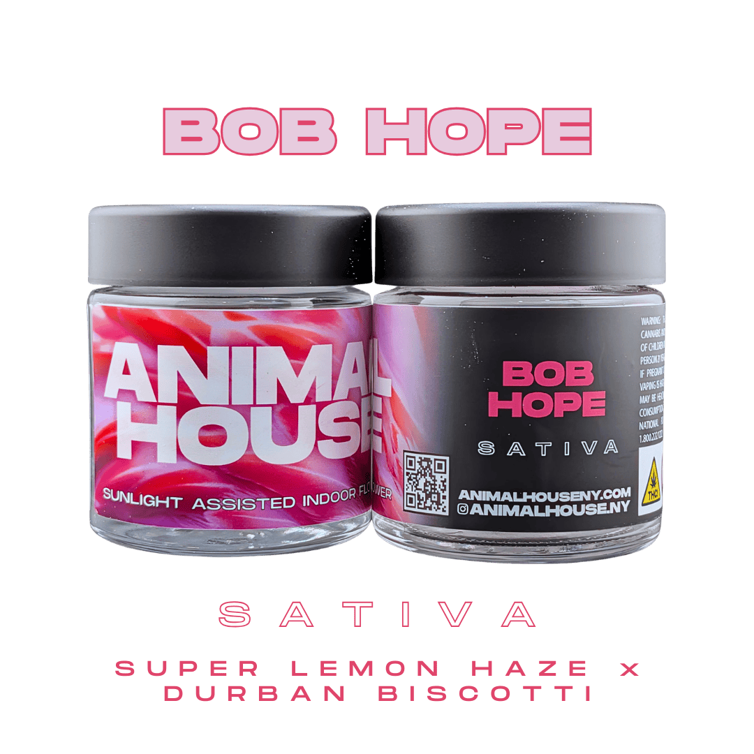 Animal House - Animal House | Bob Hope | Big Buds | 3.5g - 1