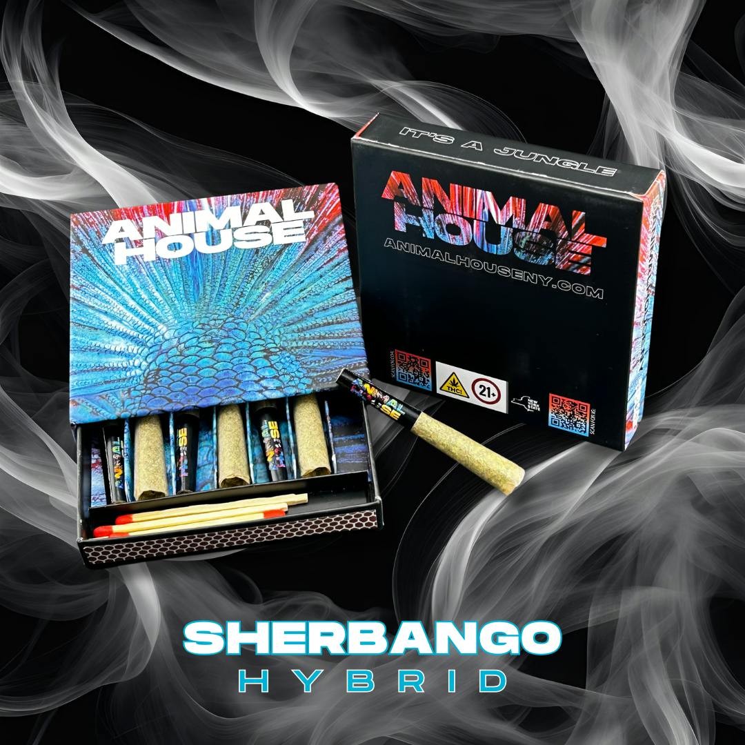 Animal House - Animal House | Sherbango | Infused Minis | 0.5g each | 7pk - 1