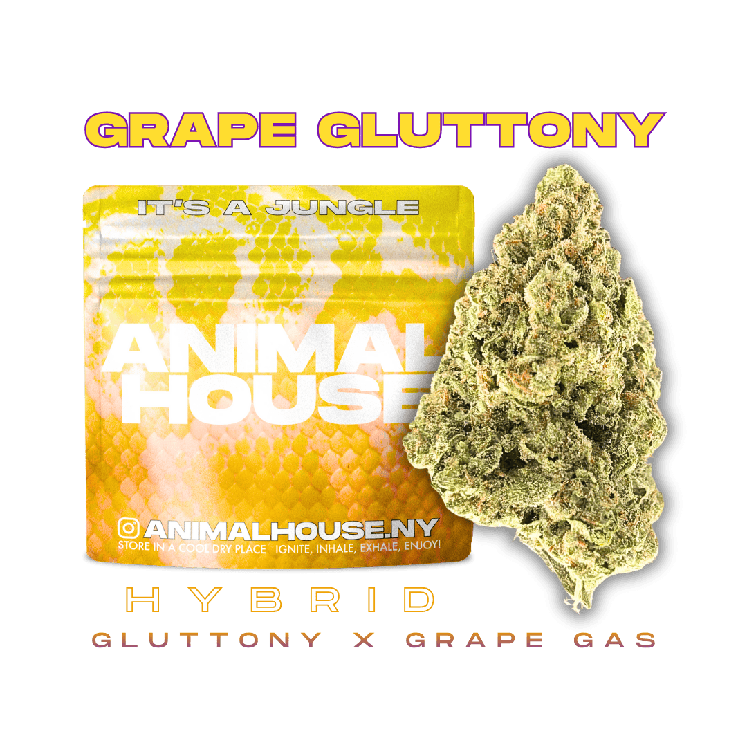 Animal House - Animal House | Grape Gluttony | Infused Minis | 0.5g each | 7pk - 1