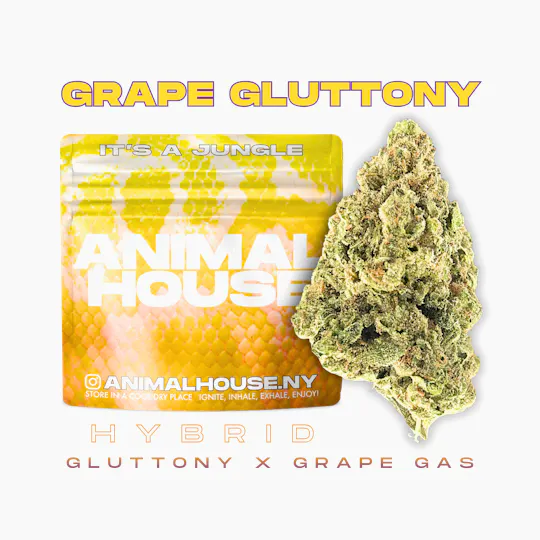 Animal House - Animal House | Grape Gluttony | Infused Minis | 0.5g each | 7pk - 1